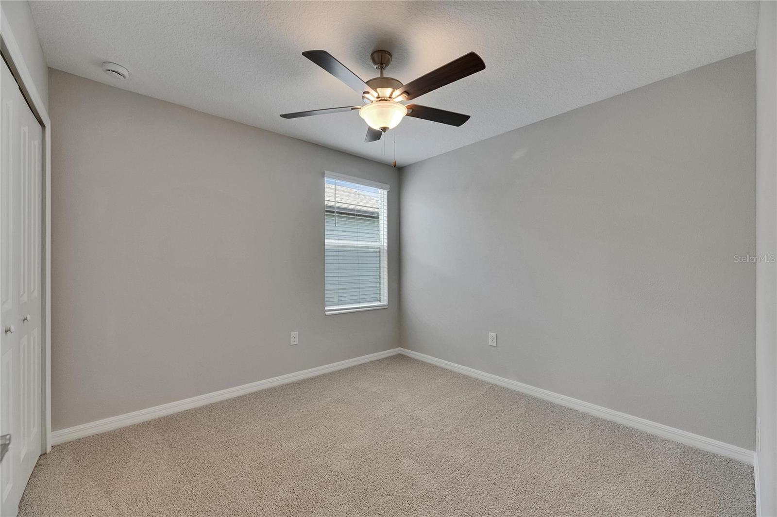 12617 MAPLE BONSAI DR, RIVERVIEW, FL, 33579