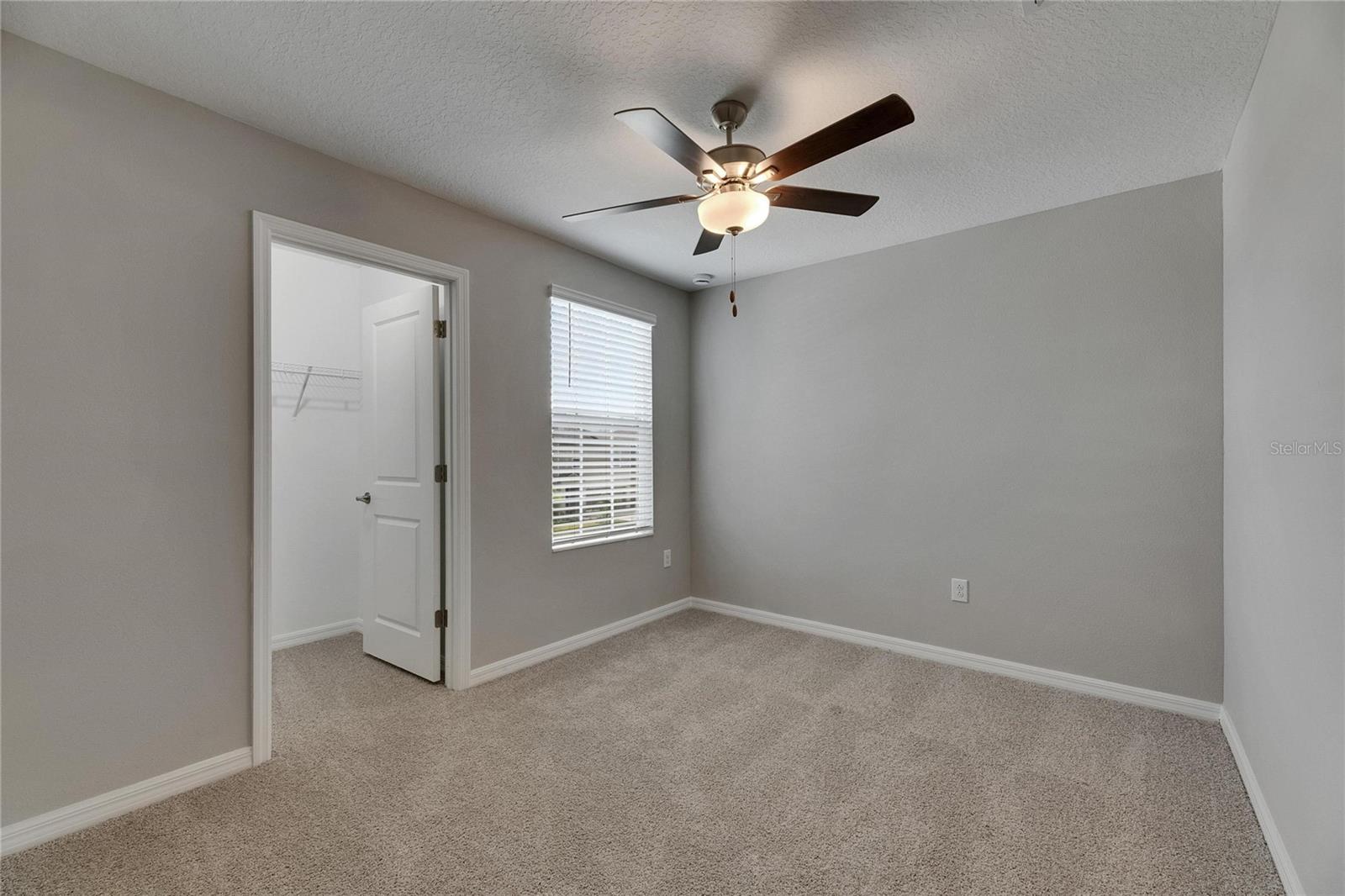 12617 MAPLE BONSAI DR, RIVERVIEW, FL, 33579