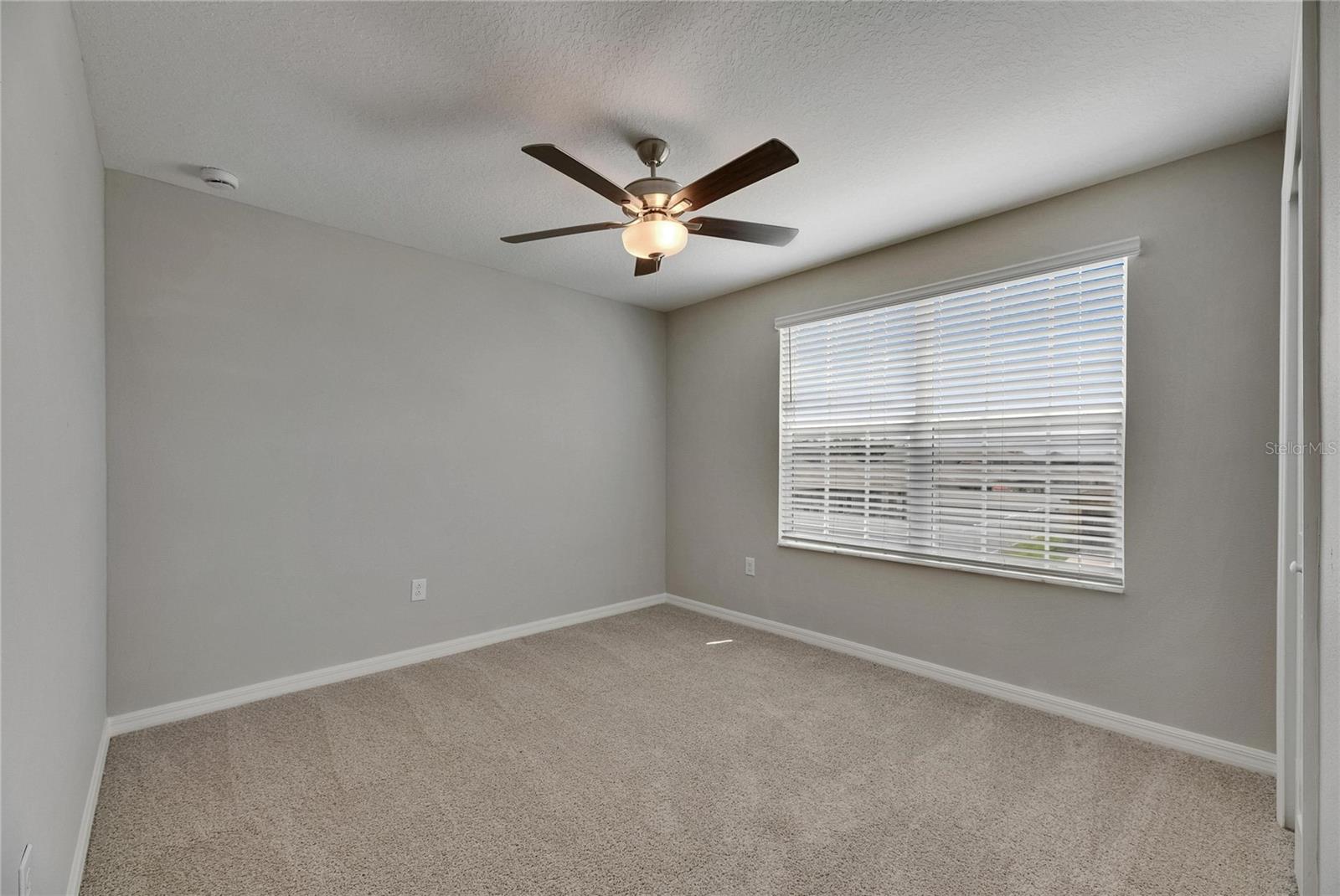 12617 MAPLE BONSAI DR, RIVERVIEW, FL, 33579