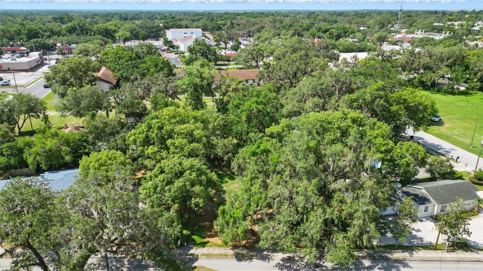 314 MONROE AVE, APOPKA, FL, 32703