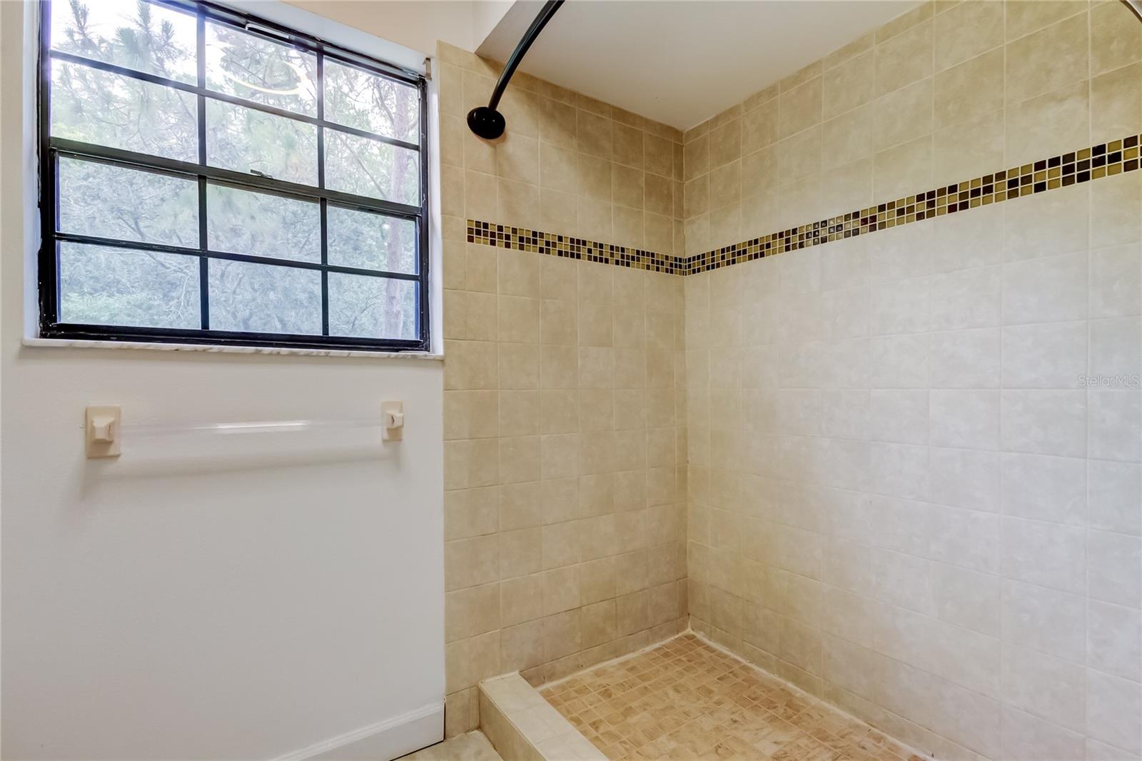 4139 BRENTWOOD PARK CIR, TAMPA, FL, 33624