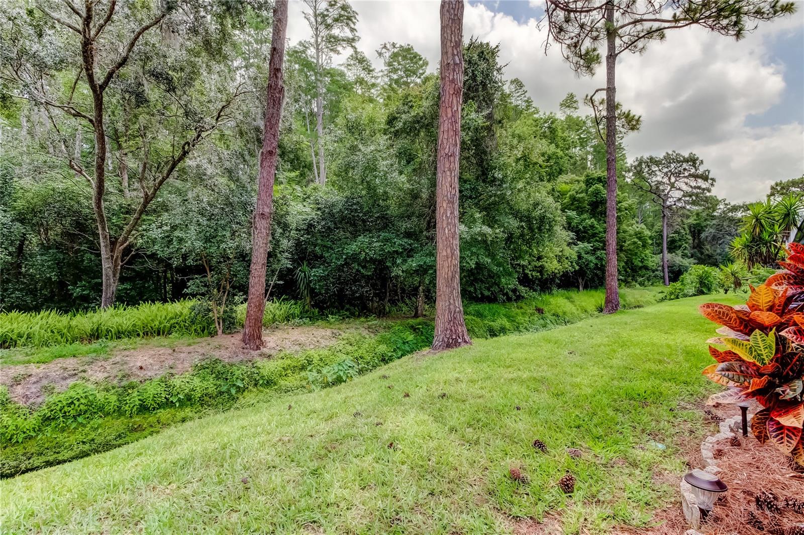 4139 BRENTWOOD PARK CIR, TAMPA, FL, 33624