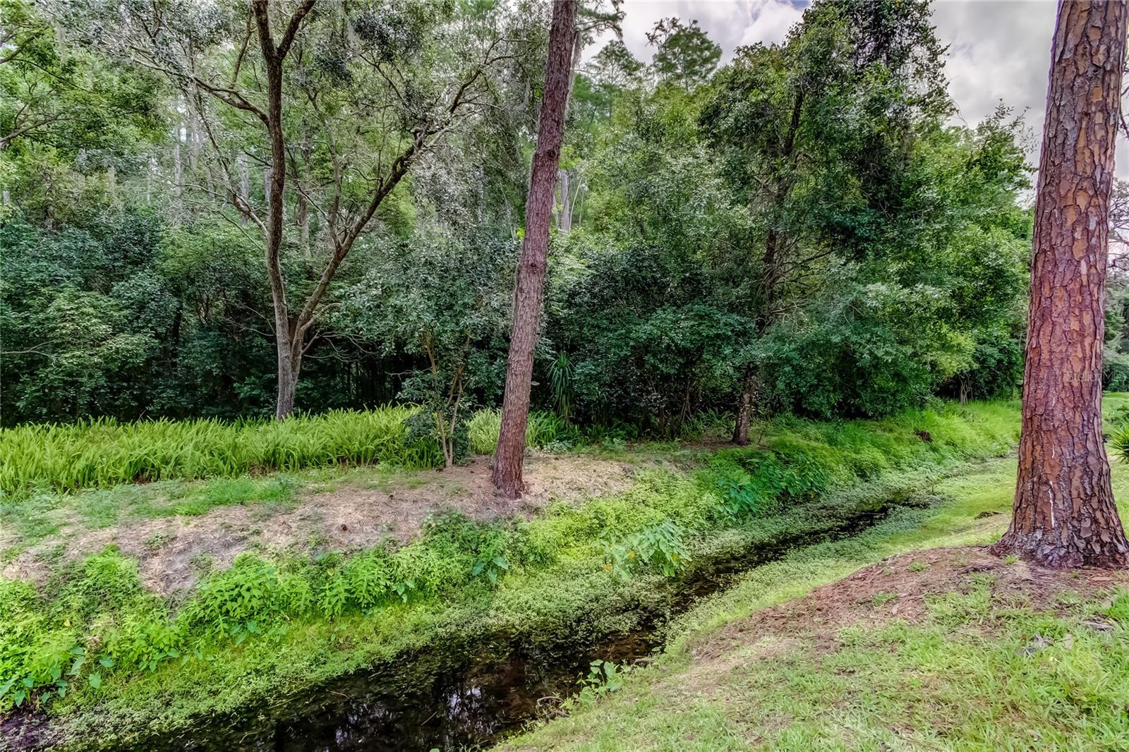 4139 BRENTWOOD PARK CIR, TAMPA, FL, 33624