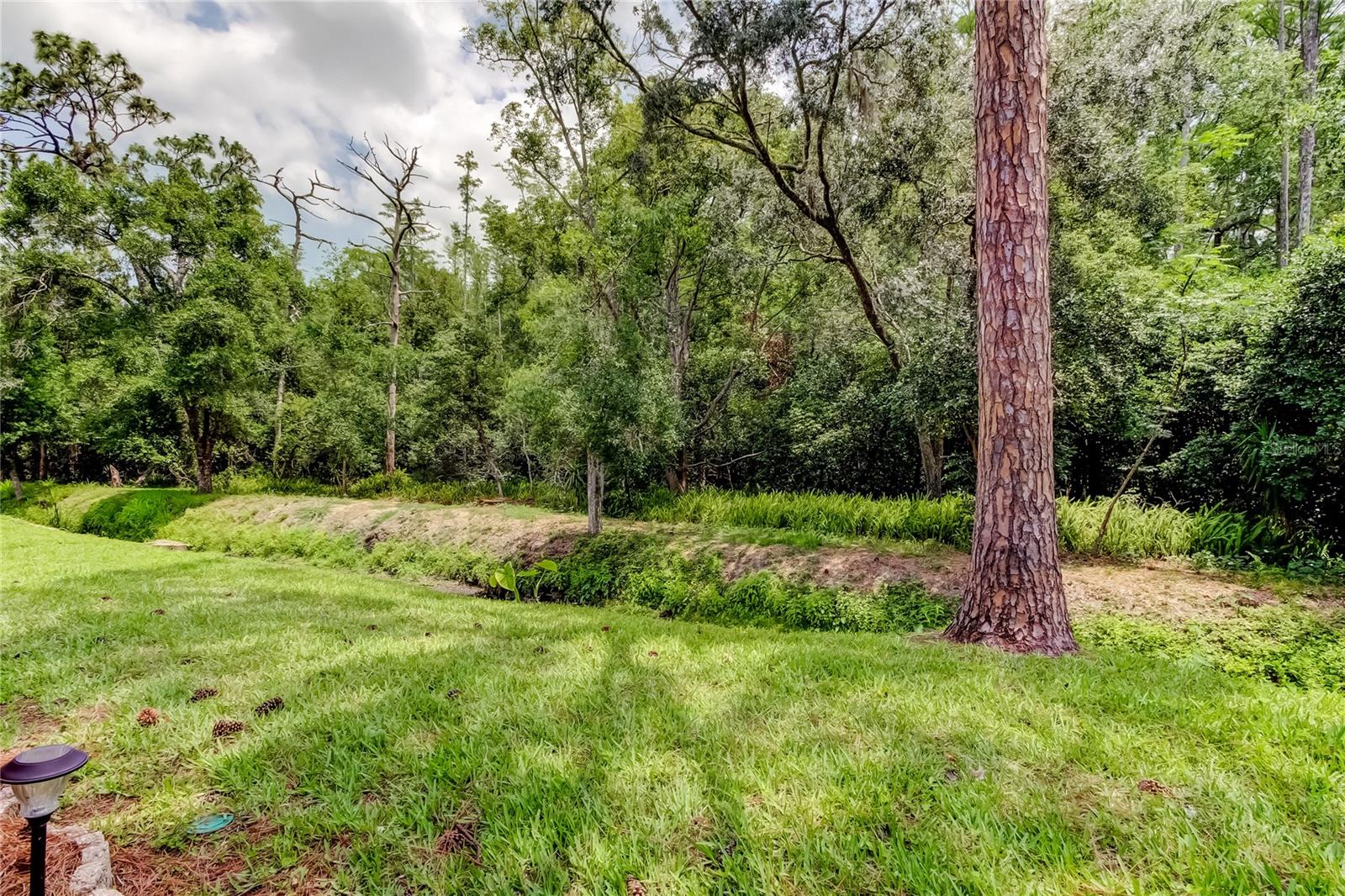 4139 BRENTWOOD PARK CIR, TAMPA, FL, 33624