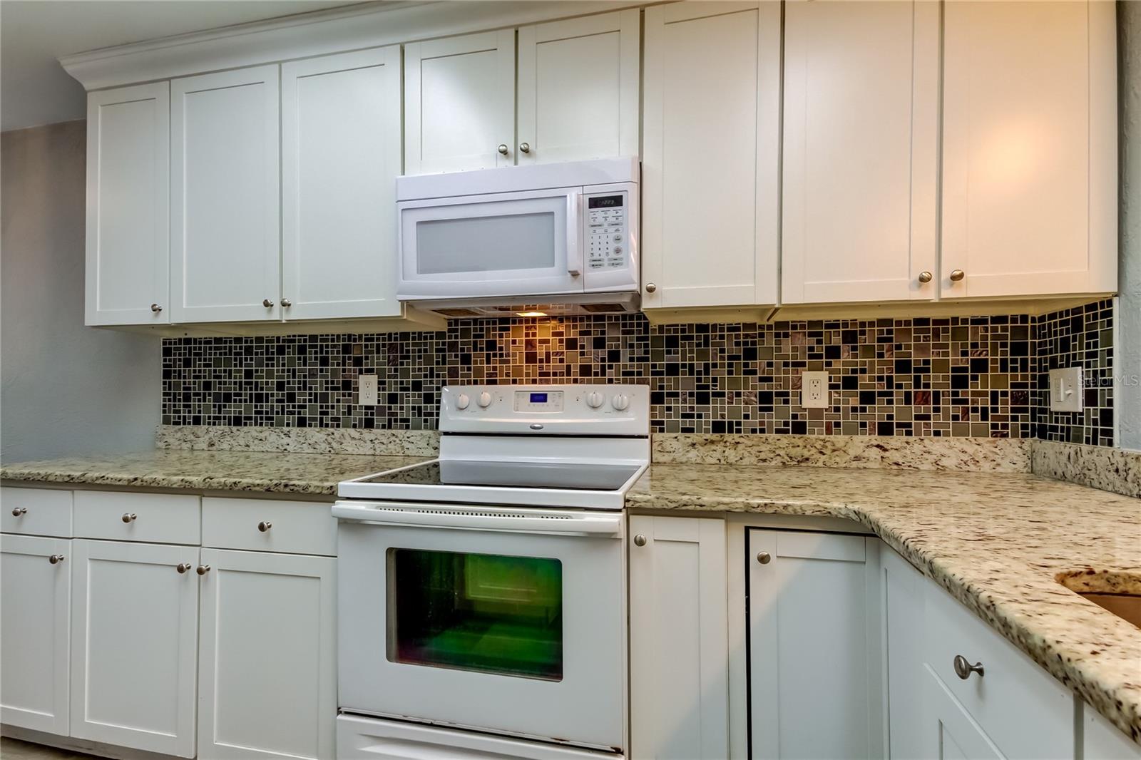 4139 BRENTWOOD PARK CIR, TAMPA, FL, 33624