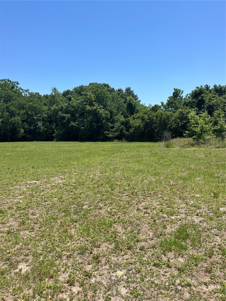 TBD NW 125 LN, CITRA, FL, 32113