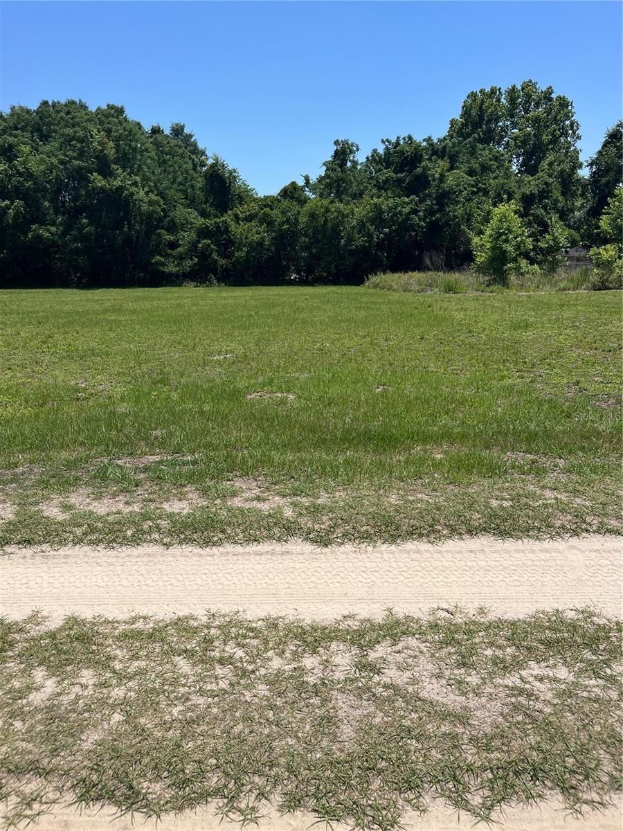 TBD NW 125 LN, CITRA, FL, 32113