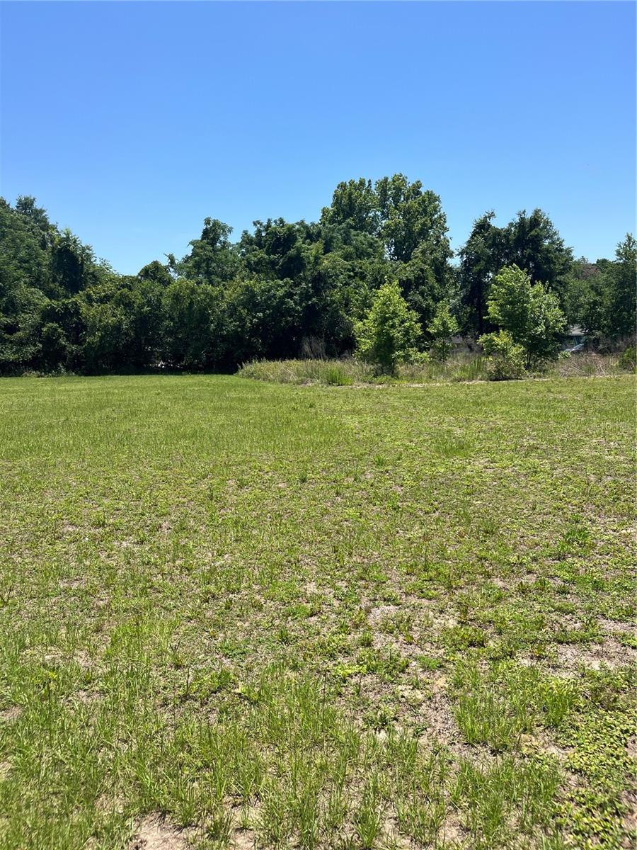 TBD NW 125 LN, CITRA, FL, 32113