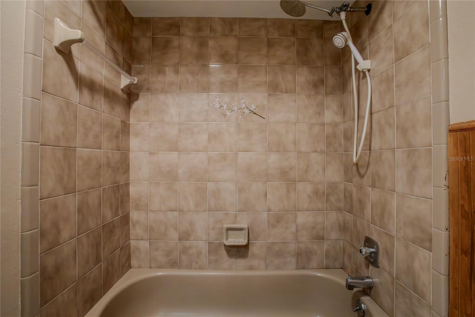 18015 PALM ST, UMATILLA, FL, 32784