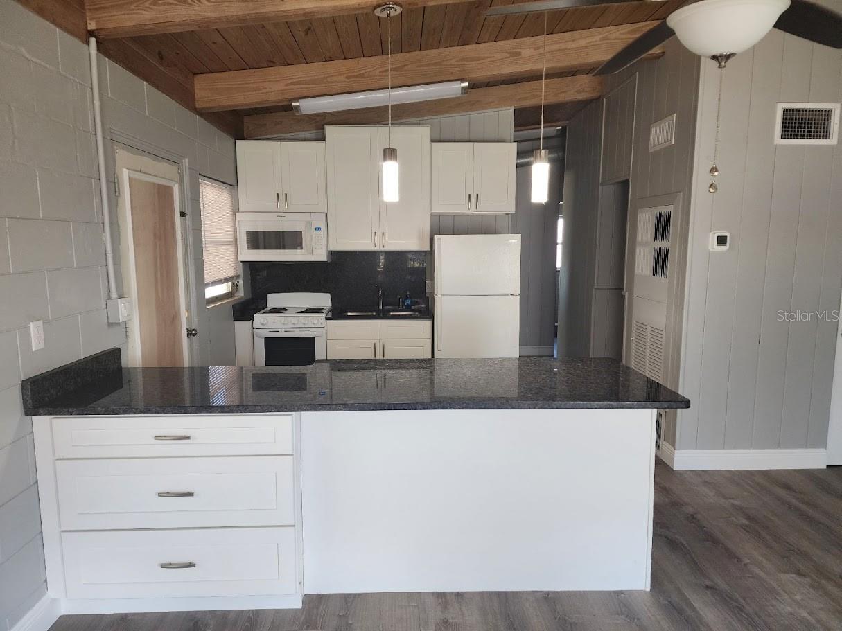 1436 DISSTON AVE #2, CLERMONT, FL, 34711