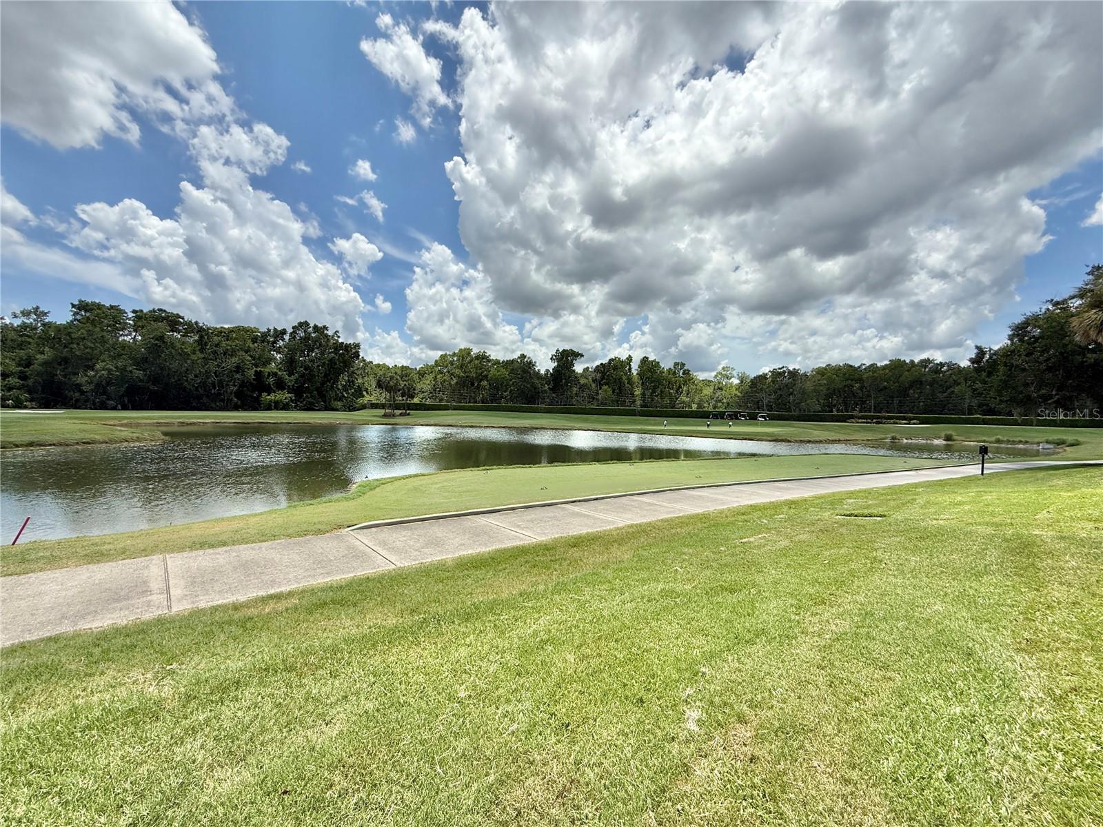 26612 BELLA VISTA DR, HOWEY IN THE HILLS, FL, 34737