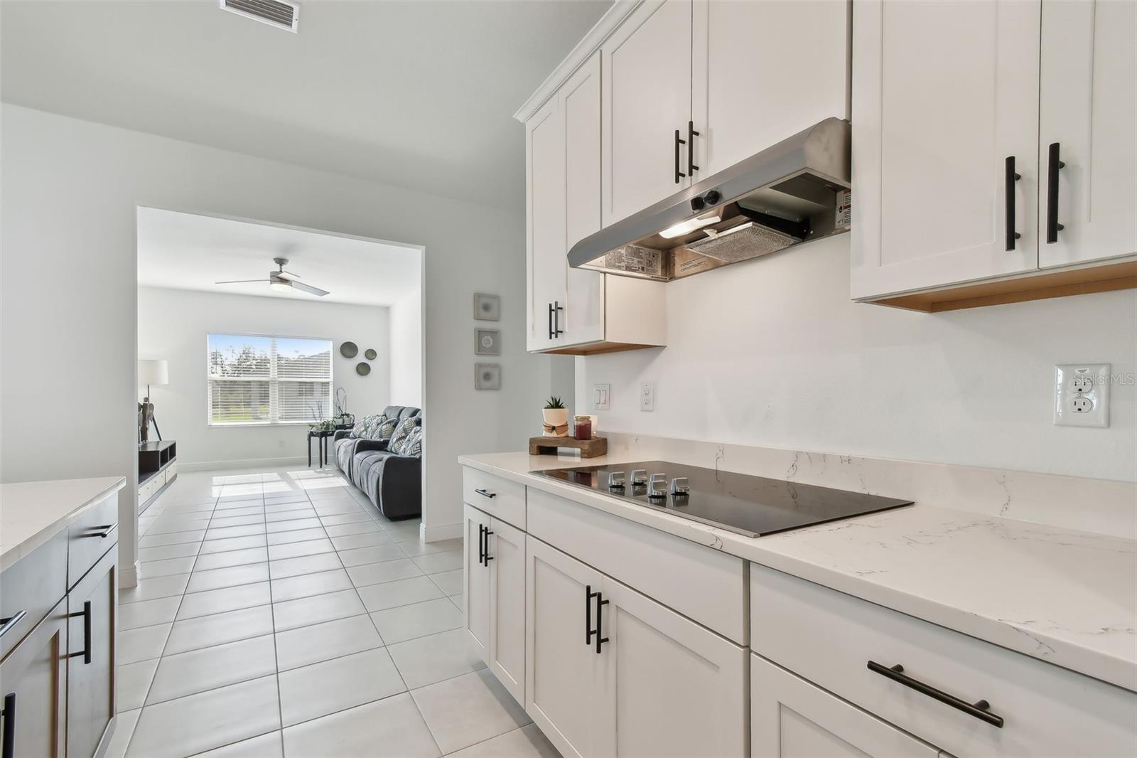 11912 RICHMOND TRL, PARRISH, FL, 34219