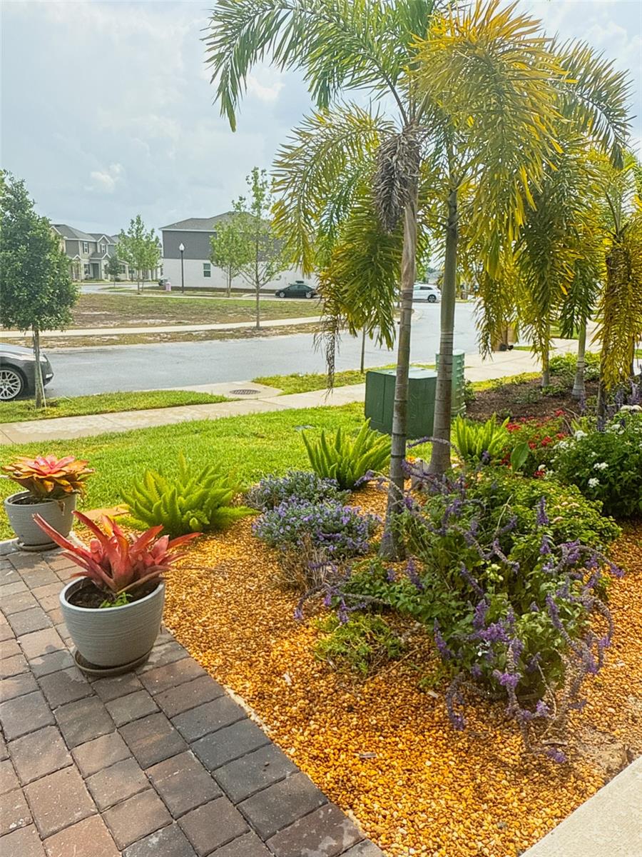 6488 NEEDLE WAY, ST CLOUD, FL, 34771