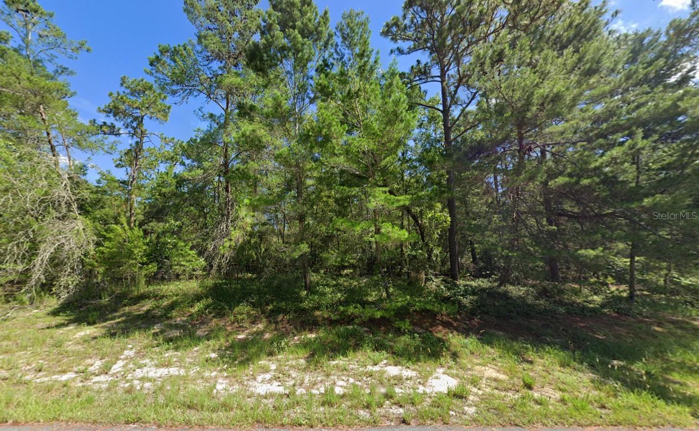 176TH ST, OCALA, FL, 34473