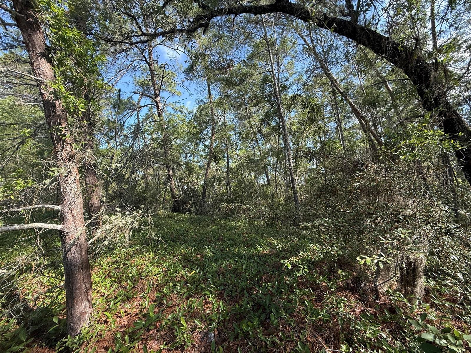 176TH ST, OCALA, FL, 34473