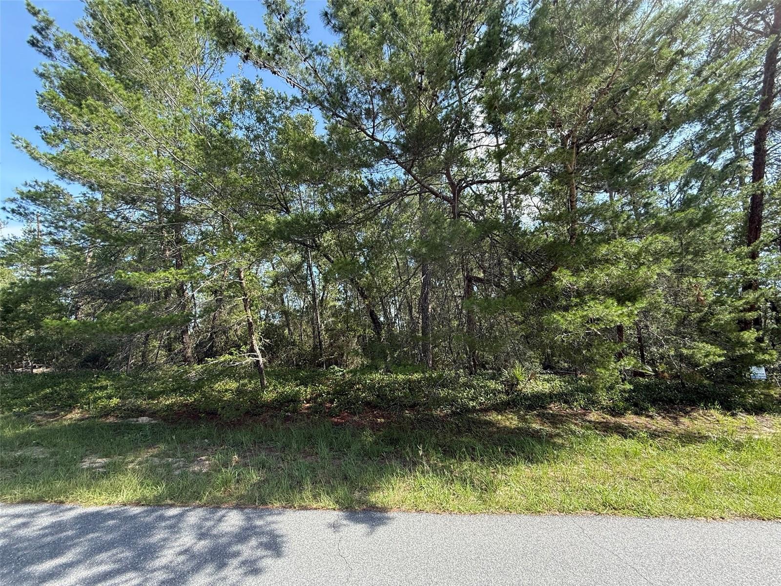 176TH ST, OCALA, FL, 34473