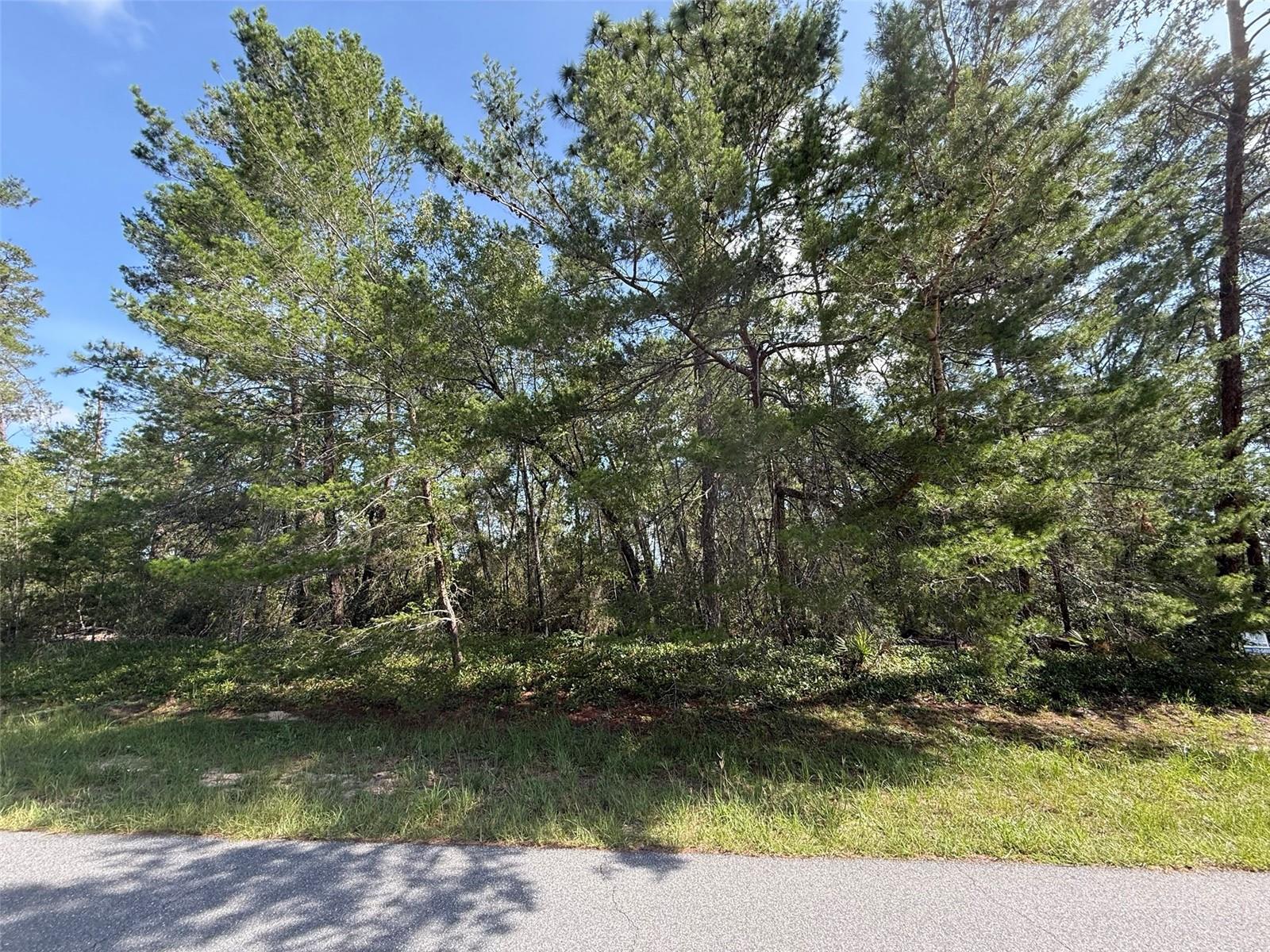 176TH ST, OCALA, FL, 34473