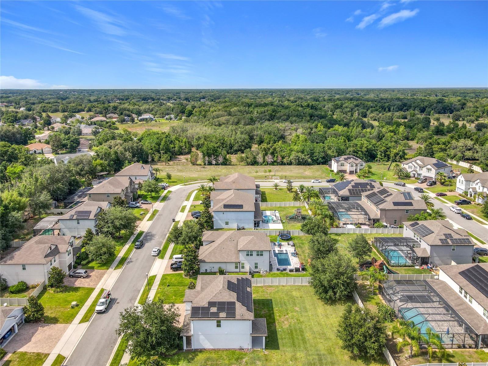 3184 PINENUT DR, APOPKA, FL, 32712