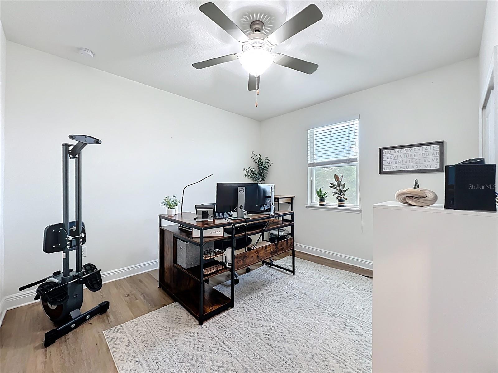 3184 PINENUT DR, APOPKA, FL, 32712