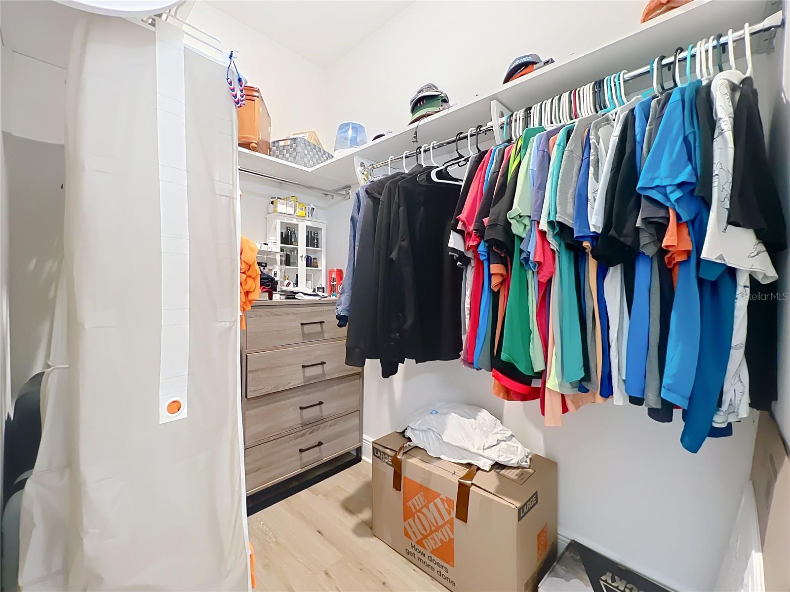 3184 PINENUT DR, APOPKA, FL, 32712