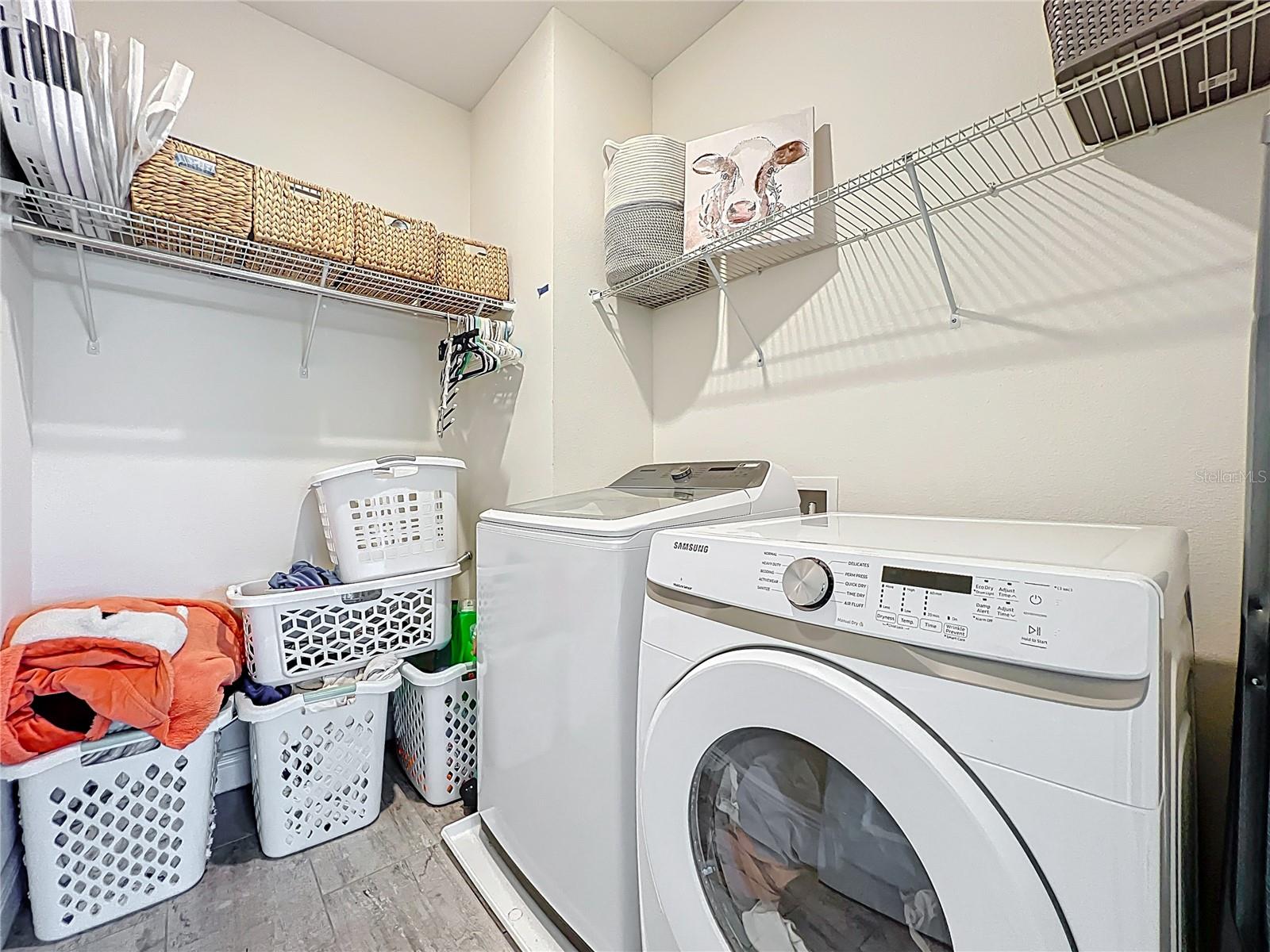 3184 PINENUT DR, APOPKA, FL, 32712