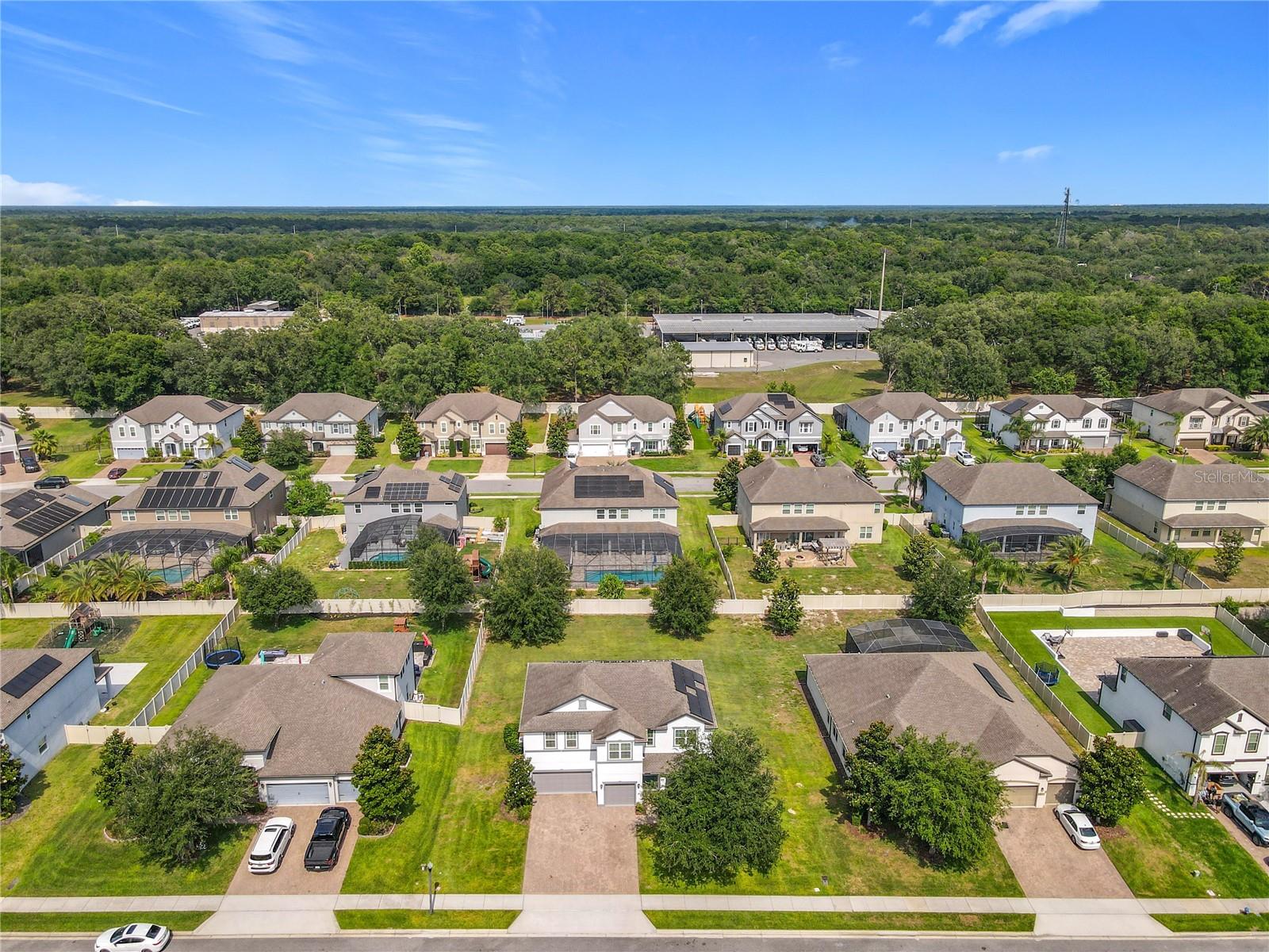 3184 PINENUT DR, APOPKA, FL, 32712