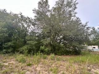 NW 56TH COURT, OCALA, FL, 34482