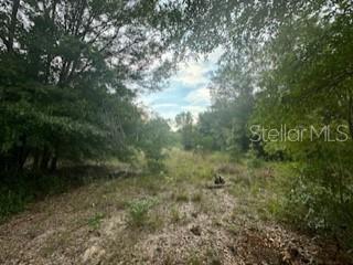 NW 56TH COURT, OCALA, FL, 34482