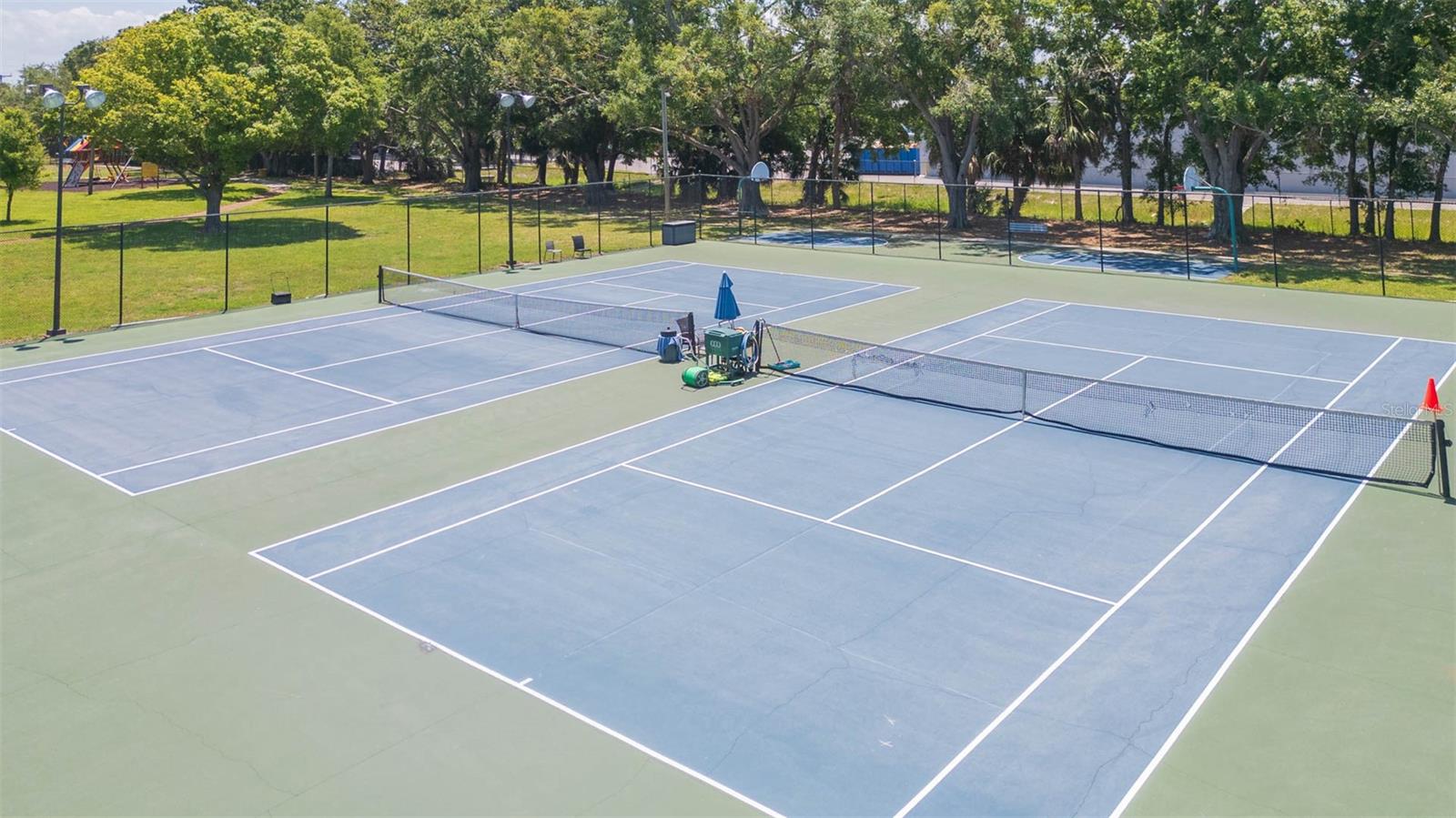 4517 LA CAPRI CT, TAMPA, FL, 33611