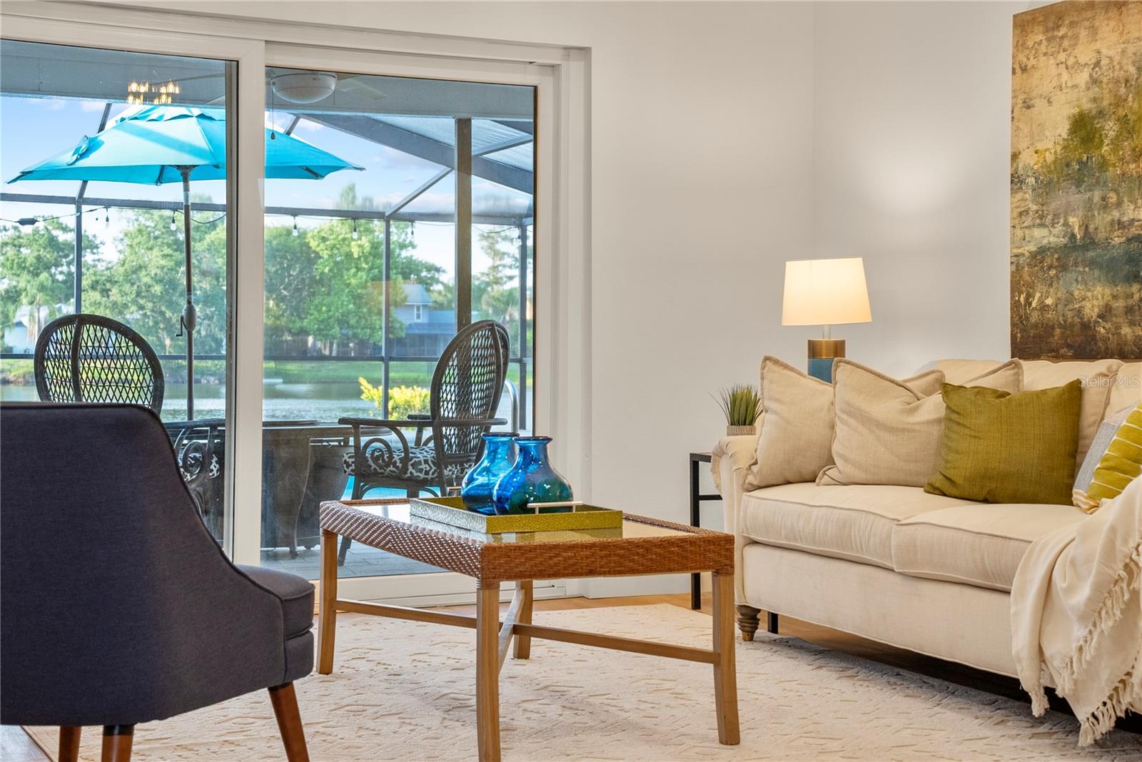 3925 DUNAIRE DR, VALRICO, FL, 33596