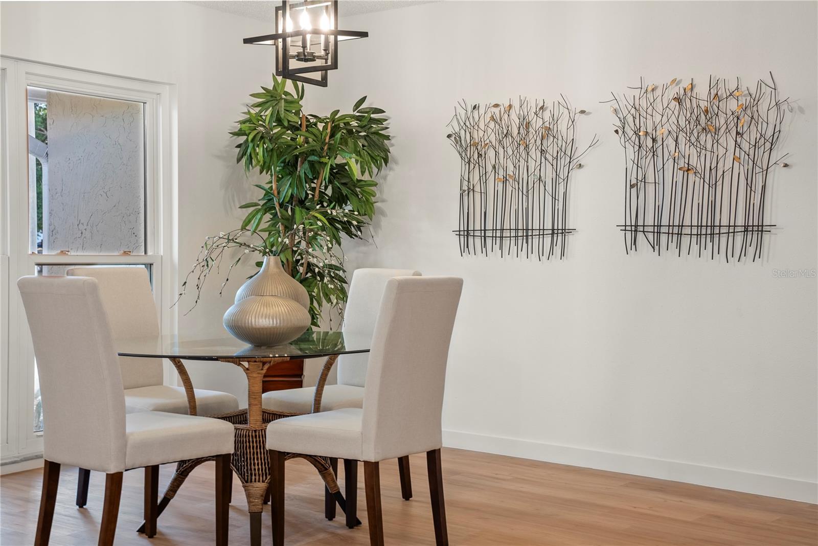 3925 DUNAIRE DR, VALRICO, FL, 33596