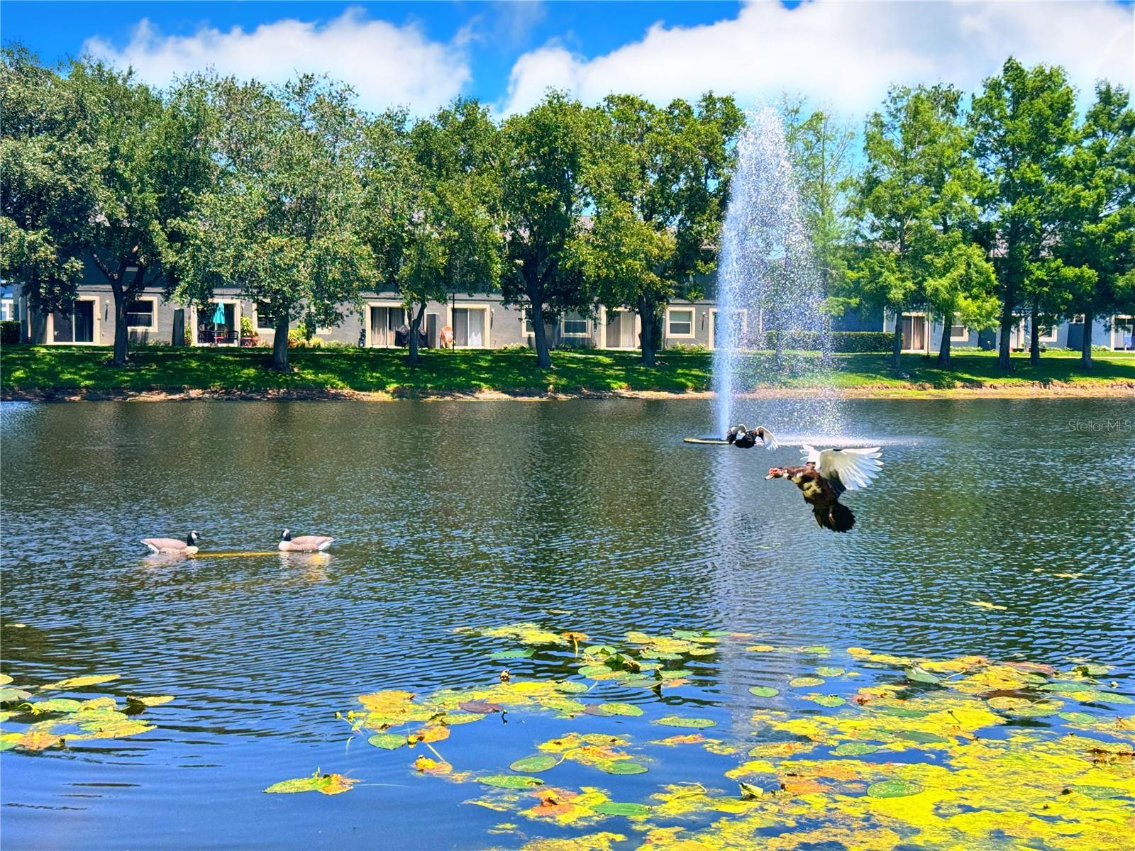 12818 LEXINGTON SUMMIT ST, ORLANDO, FL, 32828