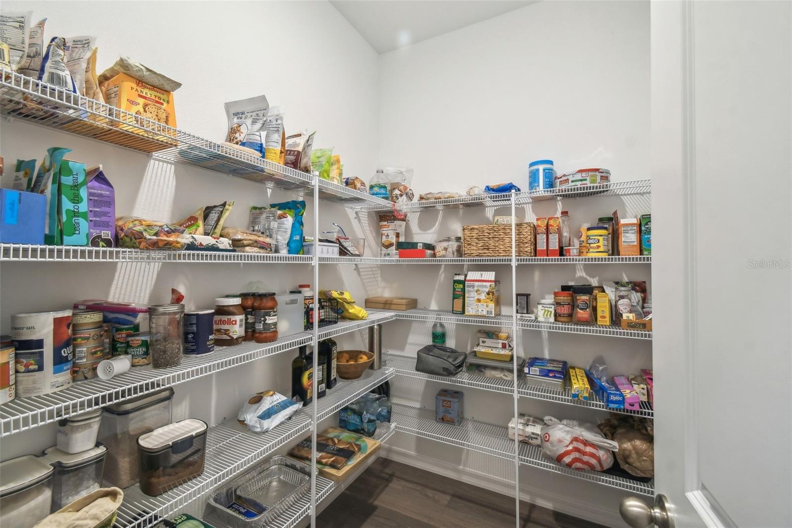 10437 FARM HILL AVE, LAND O LAKES, FL, 34638