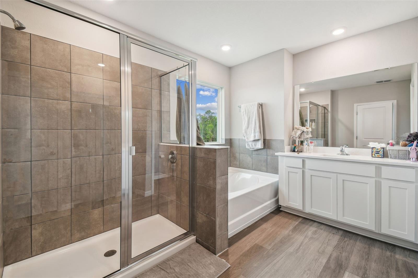 10437 FARM HILL AVE, LAND O LAKES, FL, 34638