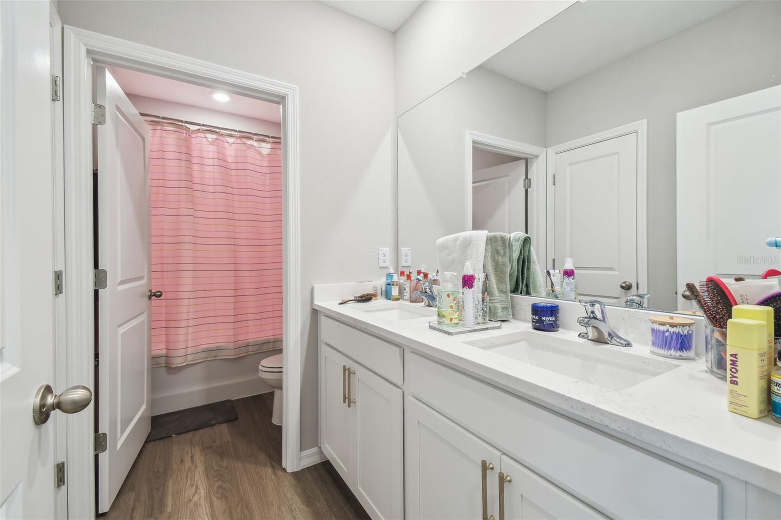 10437 FARM HILL AVE, LAND O LAKES, FL, 34638