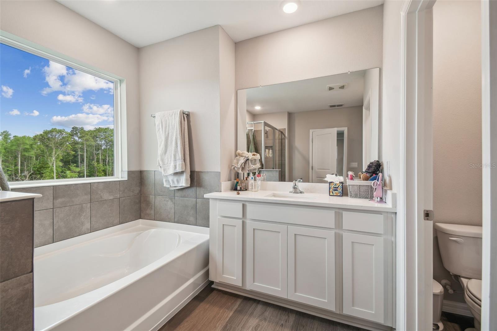 10437 FARM HILL AVE, LAND O LAKES, FL, 34638