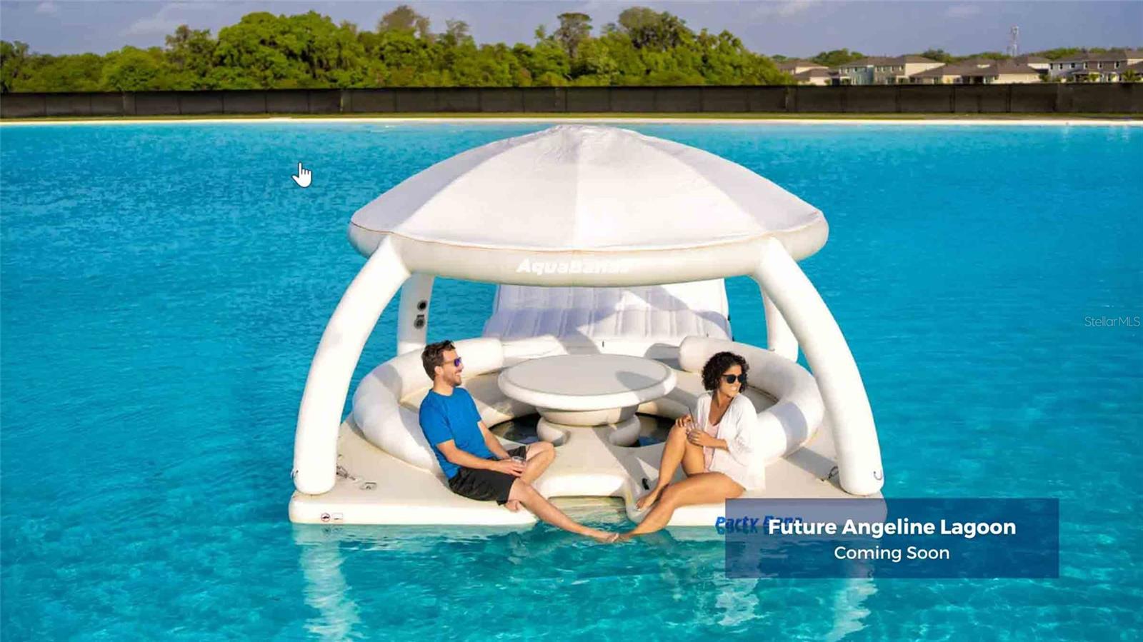 10437 FARM HILL AVE, LAND O LAKES, FL, 34638