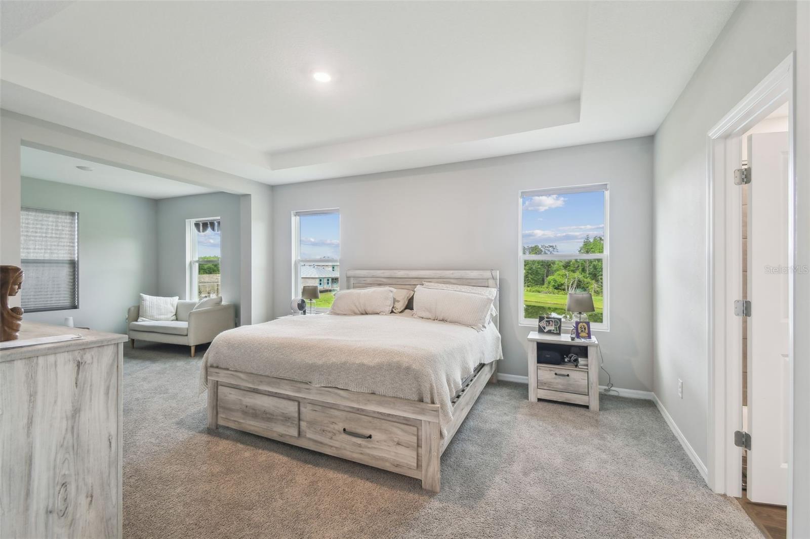 10437 FARM HILL AVE, LAND O LAKES, FL, 34638