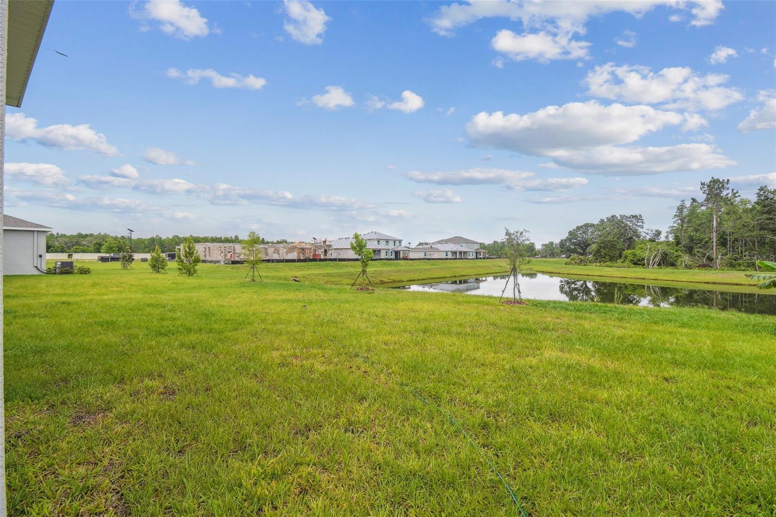 10437 FARM HILL AVE, LAND O LAKES, FL, 34638