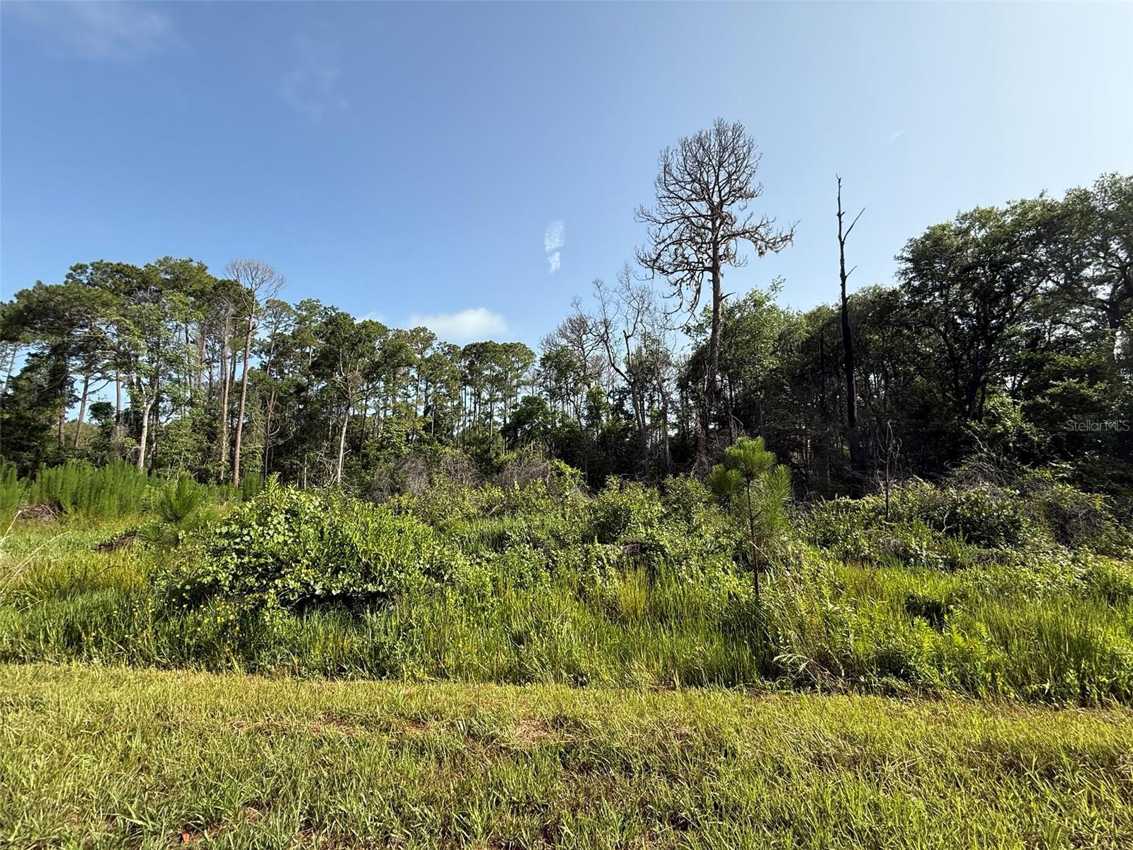 204 HAZEL AVE, GEORGETOWN, FL, 32139