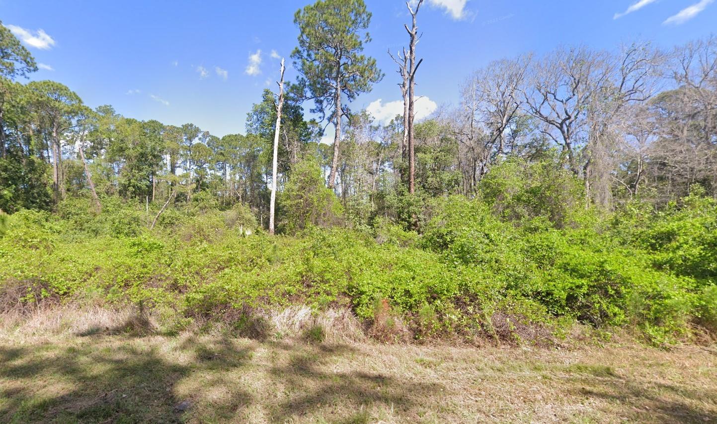 204 HAZEL AVE, GEORGETOWN, FL, 32139