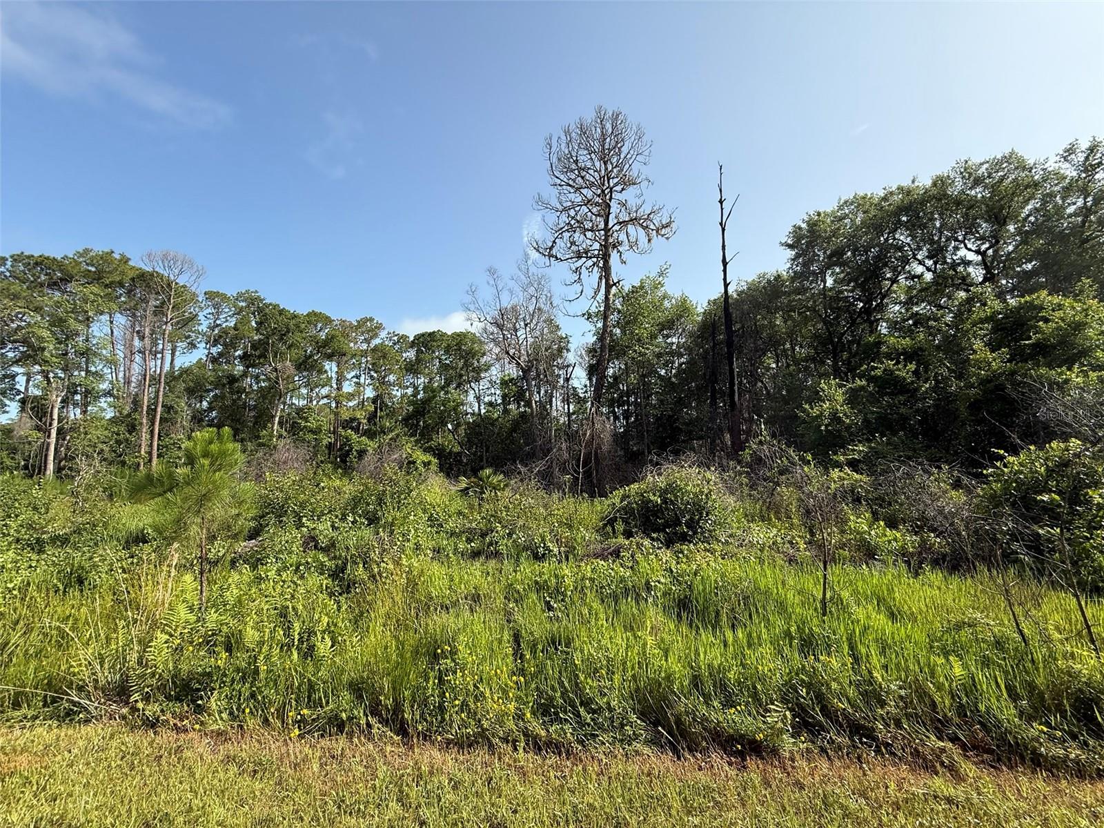 204 HAZEL AVE, GEORGETOWN, FL, 32139