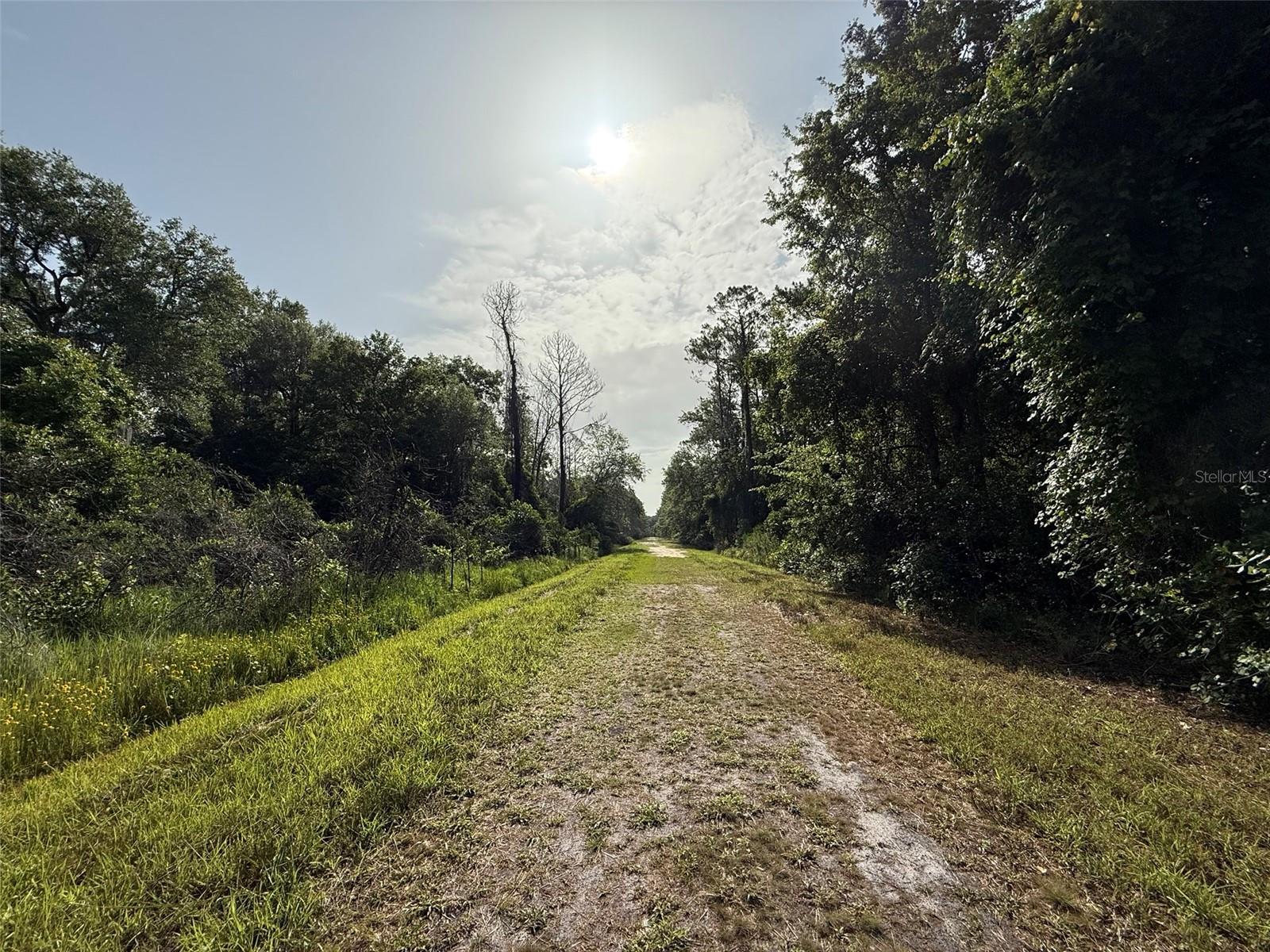 204 HAZEL AVE, GEORGETOWN, FL, 32139