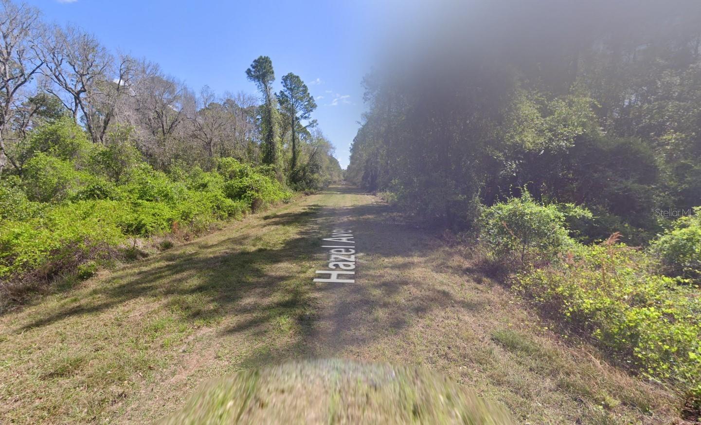 204 HAZEL AVE, GEORGETOWN, FL, 32139