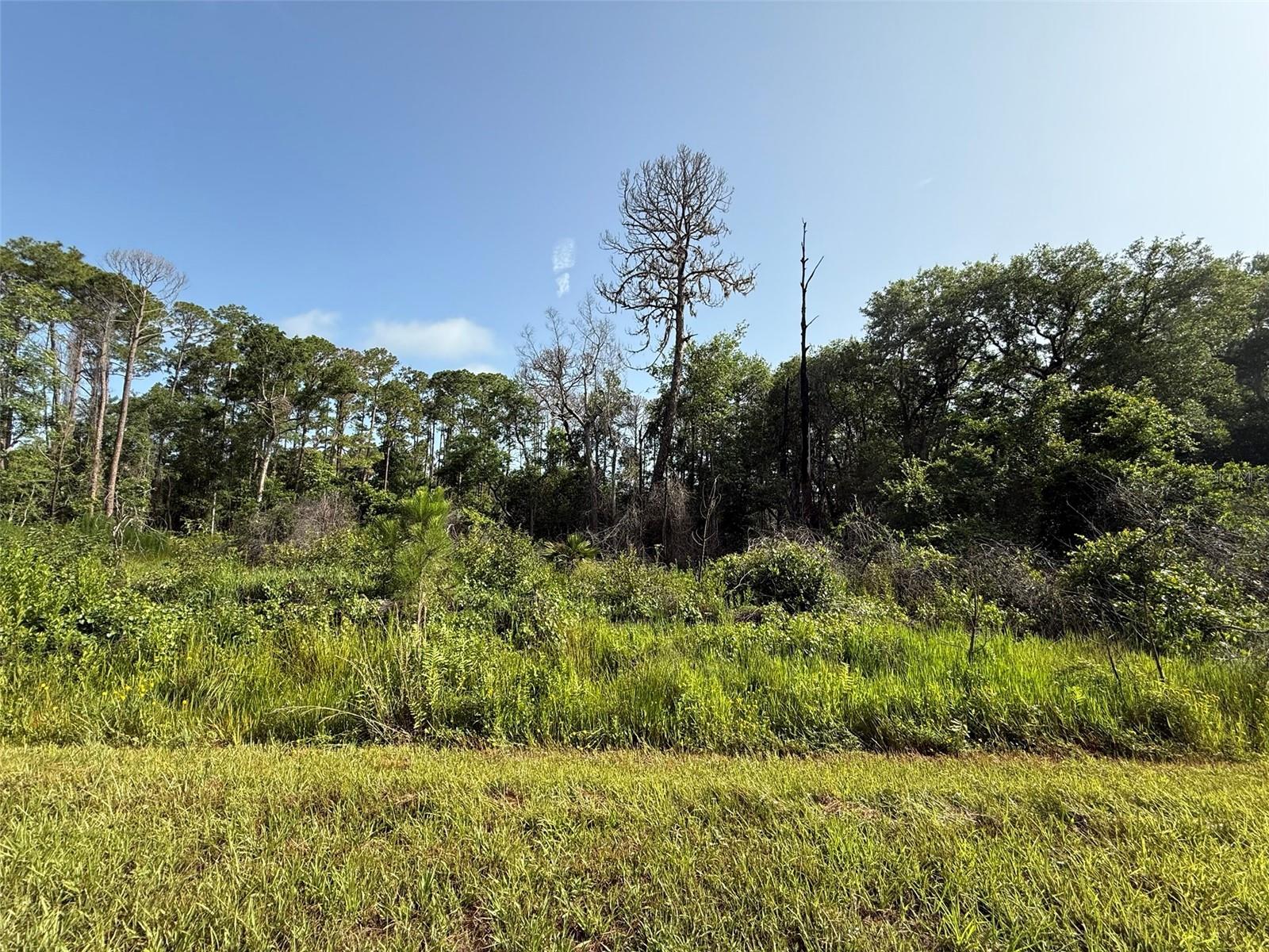 204 HAZEL AVE, GEORGETOWN, FL, 32139