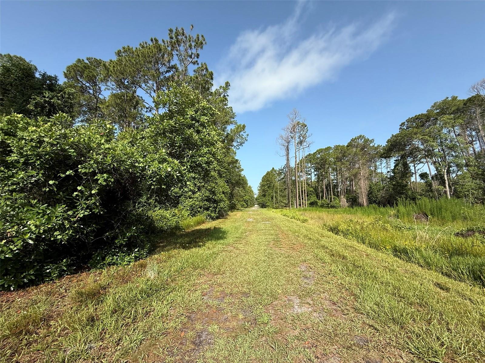 204 HAZEL AVE, GEORGETOWN, FL, 32139