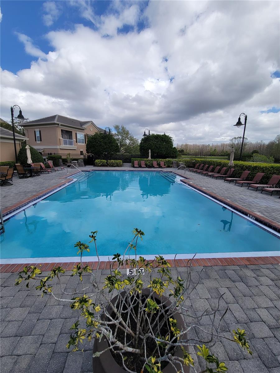 14205 FALLS CHURCH DR #2015, ORLANDO, FL, 32837