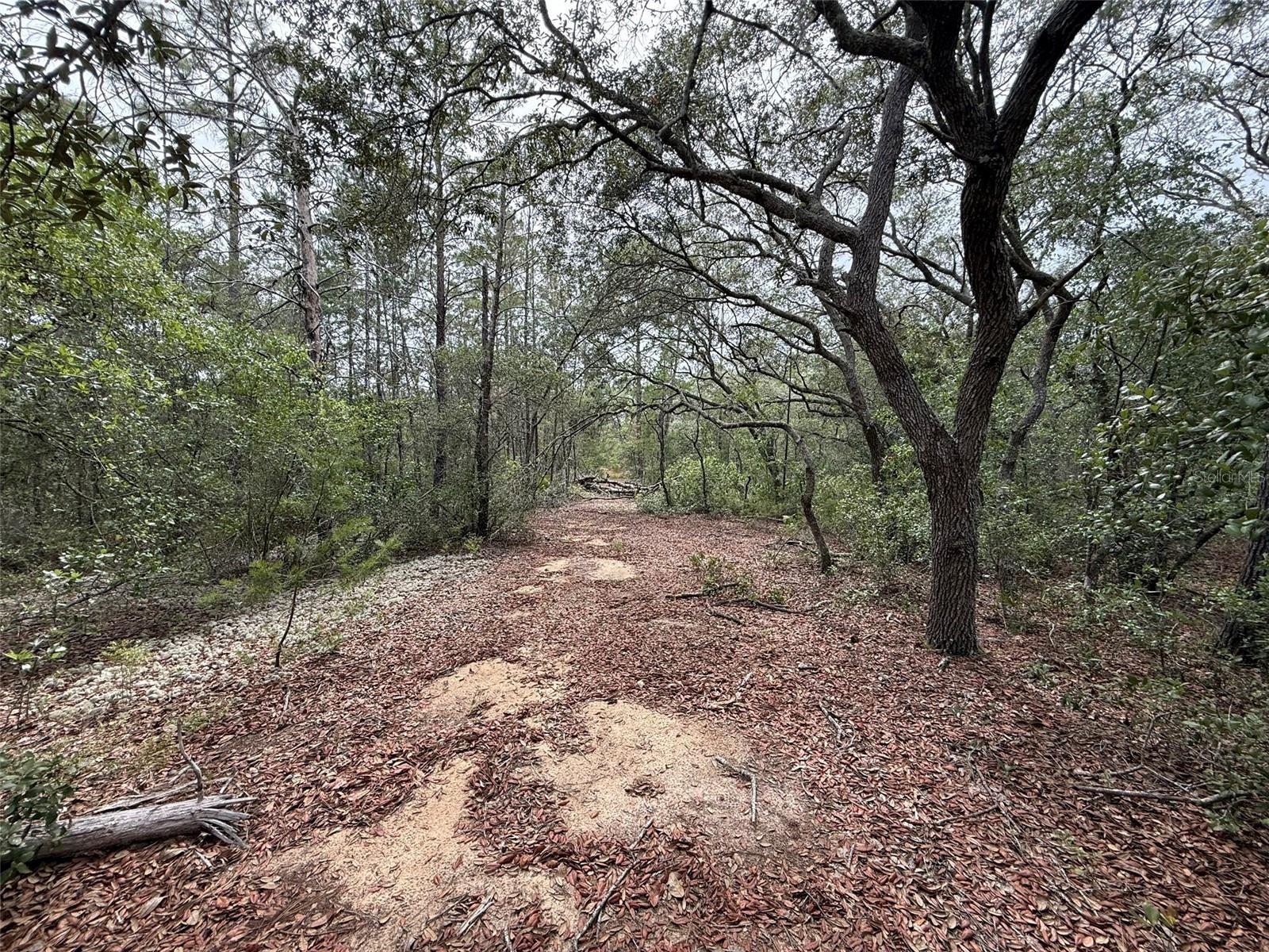 103 CLAY TRL, INTERLACHEN, FL, 32148