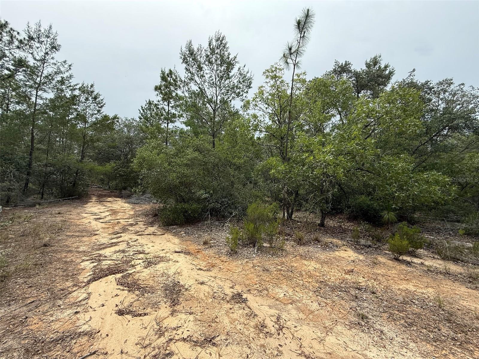 103 CLAY TRL, INTERLACHEN, FL, 32148