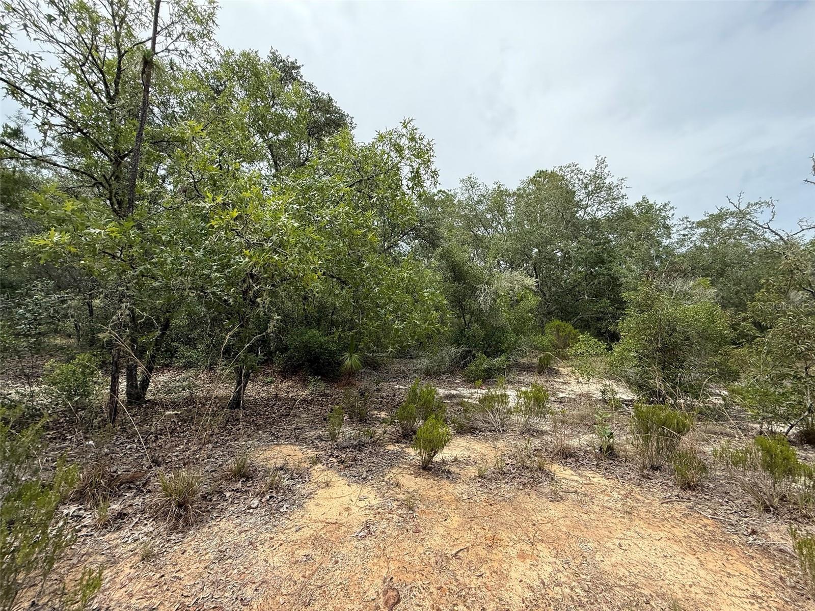 103 CLAY TRL, INTERLACHEN, FL, 32148